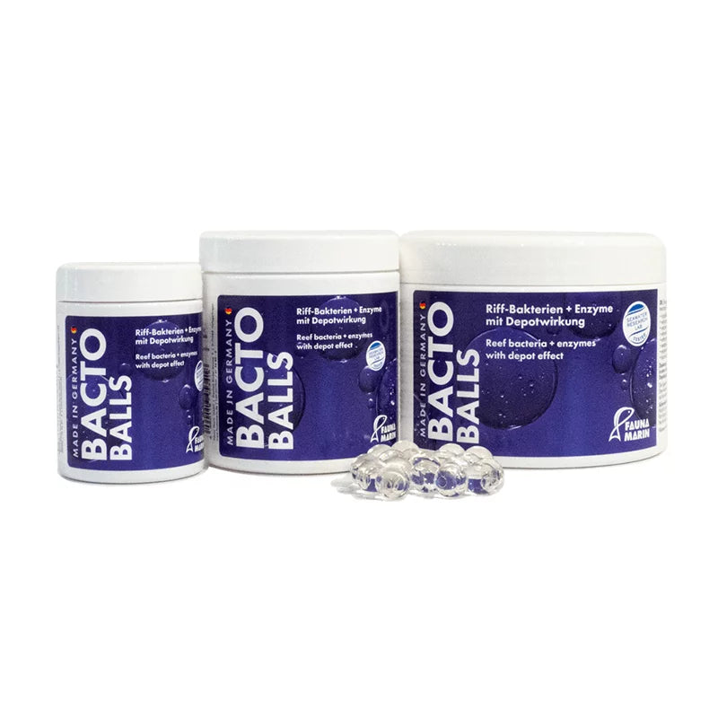 長效硝化菌球 Bacto Reef Balls