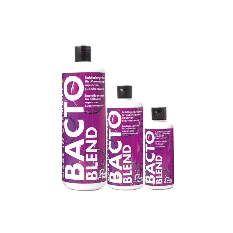 超濃縮全效硝化菌 Bacto Blend