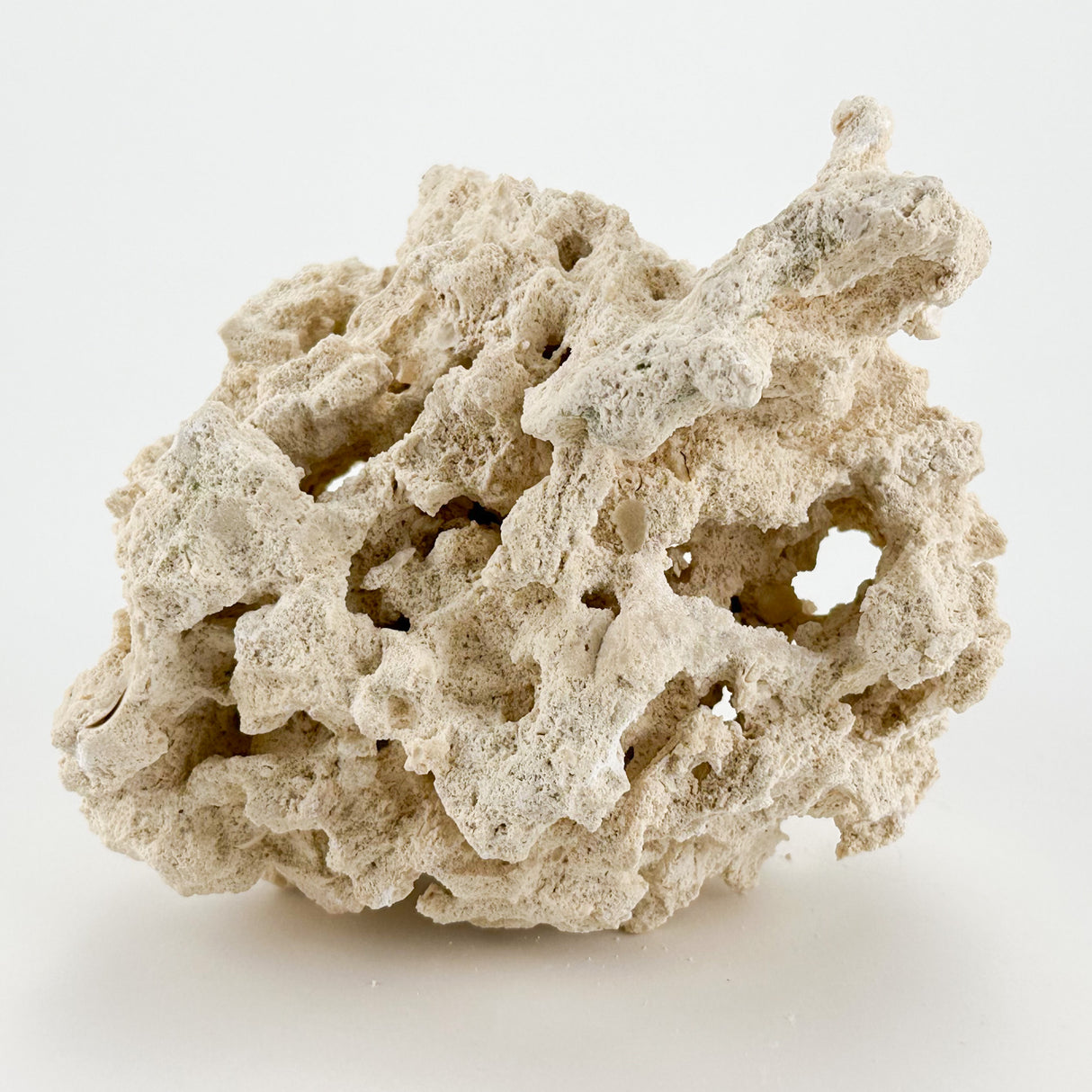 MarcoRocks Reef Saver Rock 美國咕咾石