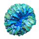 Brain 腦類