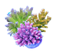Wysiwyg 所⾒所得