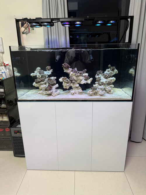 屏東崁頂鄉 4尺底濾缸