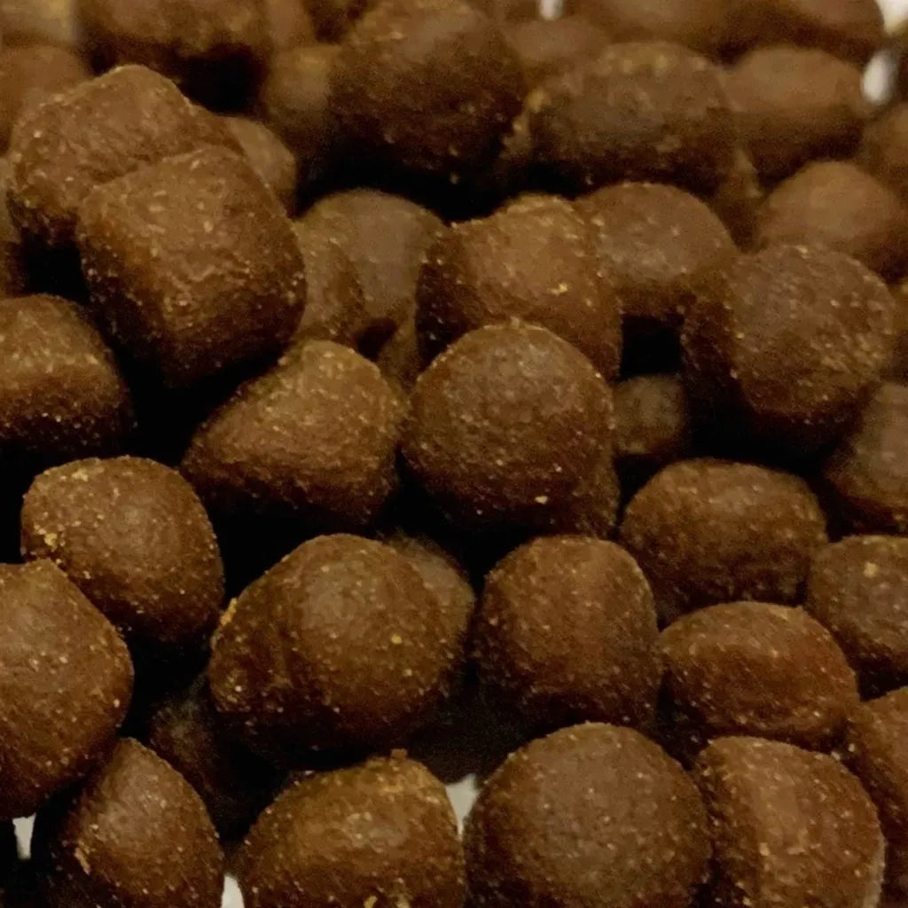 珊瑚超能量海味Q粒 Coral Pellets  L顆粒