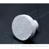 珊瑚基座(10顆)