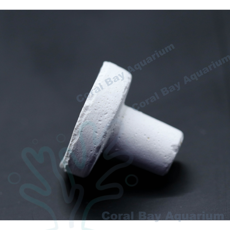 珊瑚基座(10顆)