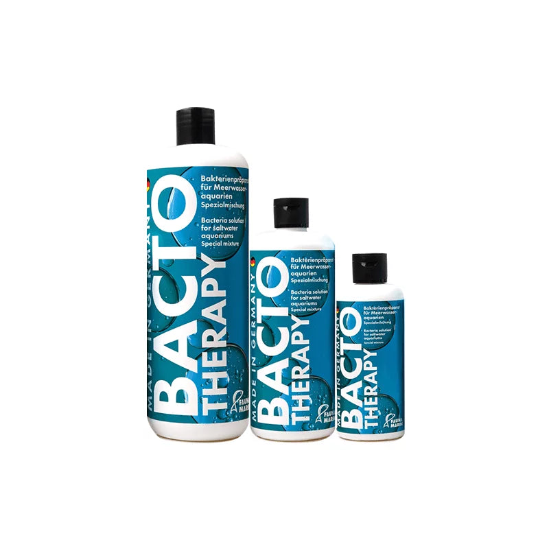 超濃縮益生菌硝化菌 Bacto Therapy