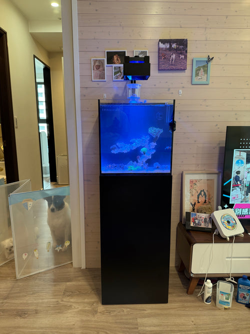 高雄鳳山區 45背濾木底櫃