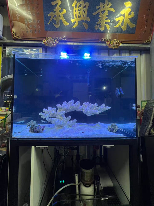 屏東林邊鄉 3尺底濾缸