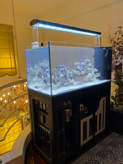 台南東區 4尺底濾缸
