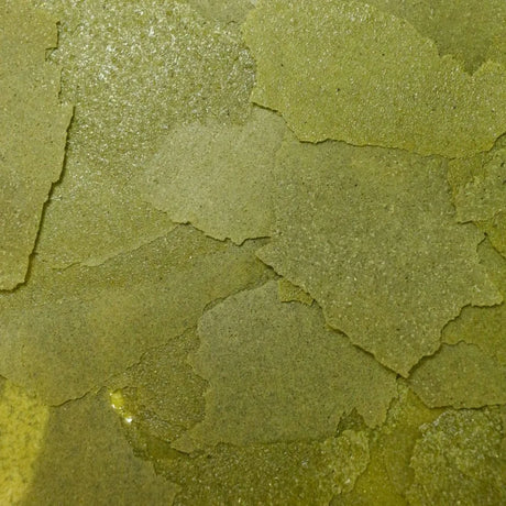 藻食海水魚主食薄片 Formula Two Flakes
