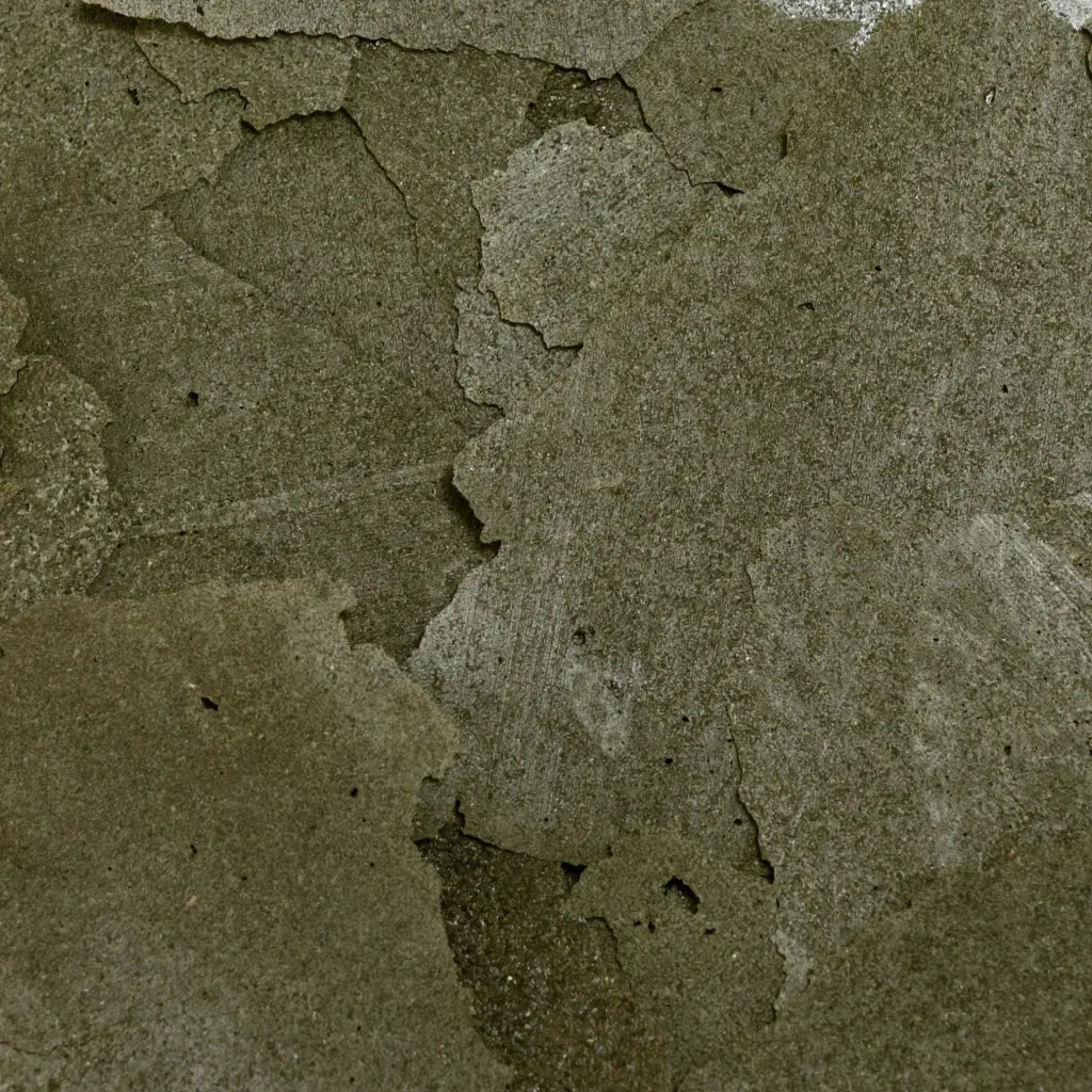 螺旋藻免疫揚色薄片 Spirulina Flakes