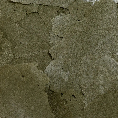 螺旋藻免疫揚色薄片 Spirulina Flakes